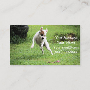 Tarjeta De Visita Flotante