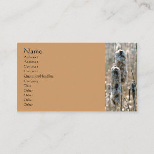 Tarjeta de visita Fluffy Cattails Nature Photograp