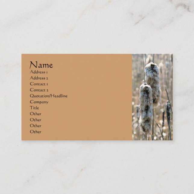 Tarjeta de visita Fluffy Cattails Nature Photograp (Anverso)