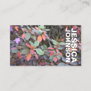Tarjeta De Visita Foliage otoñal deja fotografía en árboles naturale