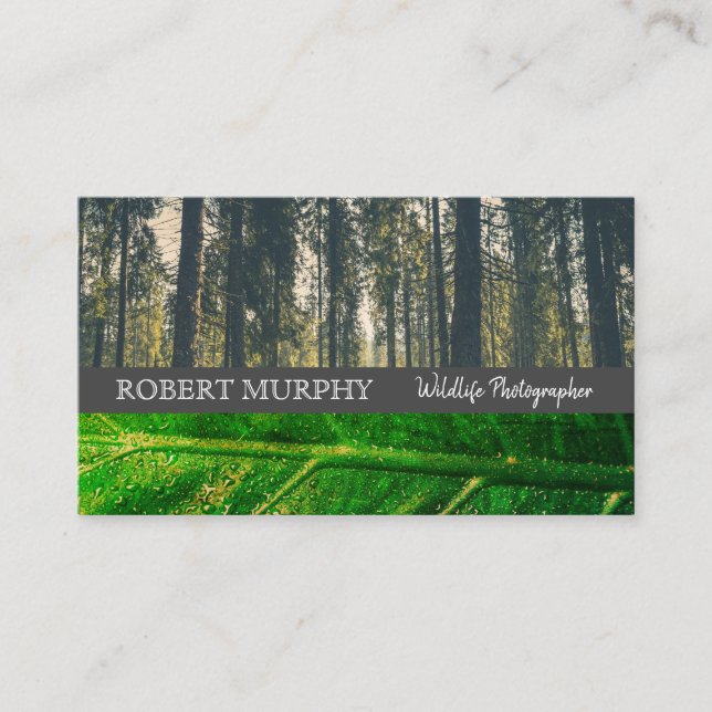 Tarjeta De Visita Forrest | Hoja | Fotógrafo de Vida Silvestre (Anverso)