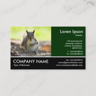 Tarjeta De Visita Foto con base - ardilla gris
