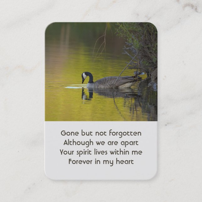 Tarjeta De Visita Foto conmemorativa Lago Canada Goose Bird (Anverso)