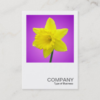Tarjeta De Visita Foto cuadrada 012 - Daffodil