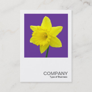 Tarjeta De Visita Foto cuadrada 014 - Daffodil