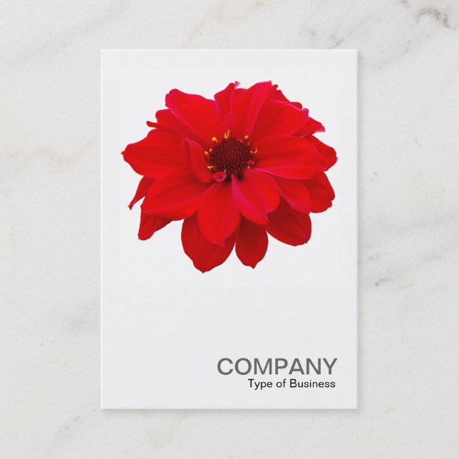 Tarjeta De Visita Foto cuadrada 0160 - Dahlia, Obispo de Llandaff (Anverso)