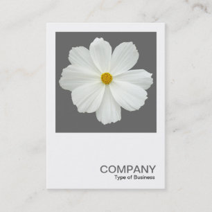 Tarjeta De Visita Foto cuadrada 0162 - Flor Cosmos en gris