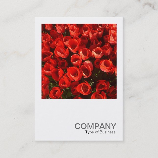 Tarjeta De Visita Foto cuadrada 01 - Tulips (Anverso)