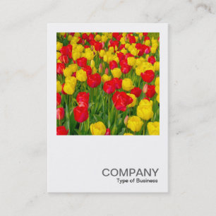Tarjeta De Visita Foto cuadrada 0220 - Tulips
