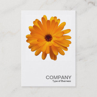 Tarjeta De Visita Foto cuadrada 0233 - Naranja Marigold