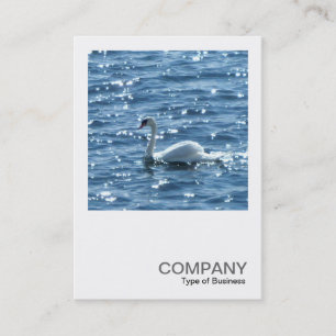 Tarjeta De Visita Foto cuadrada 0242 - Swan