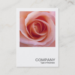 Tarjeta De Visita Foto cuadrada 0255 - Rosa rosa