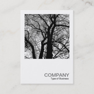 Tarjeta De Visita Foto cuadrada 0277 - Árbol de alto contraste