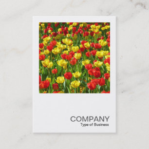 Tarjeta De Visita Foto cuadrada 0320 - Mar de Tulipanes III