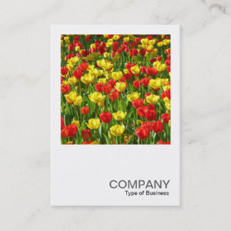 Tarjeta De Visita Foto cuadrada 0320 - Mar de Tulipanes III
