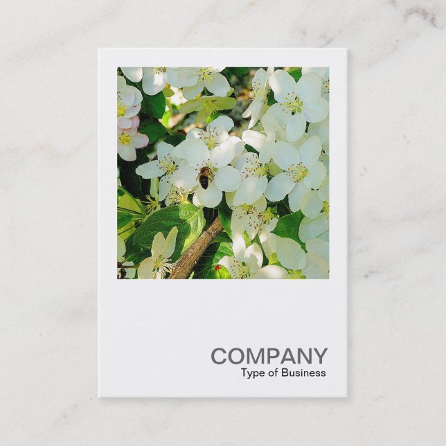 Tarjeta De Visita Foto cuadrada 0323 - Haciendo miel (Anverso)