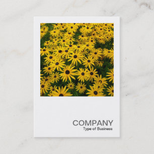 Tarjeta De Visita Foto cuadrada 0338 - Susans de ojos negros (Rudbec
