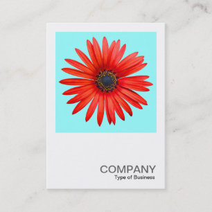 Tarjeta De Visita Foto cuadrada 0344 - Diablo rojo en hielo azul