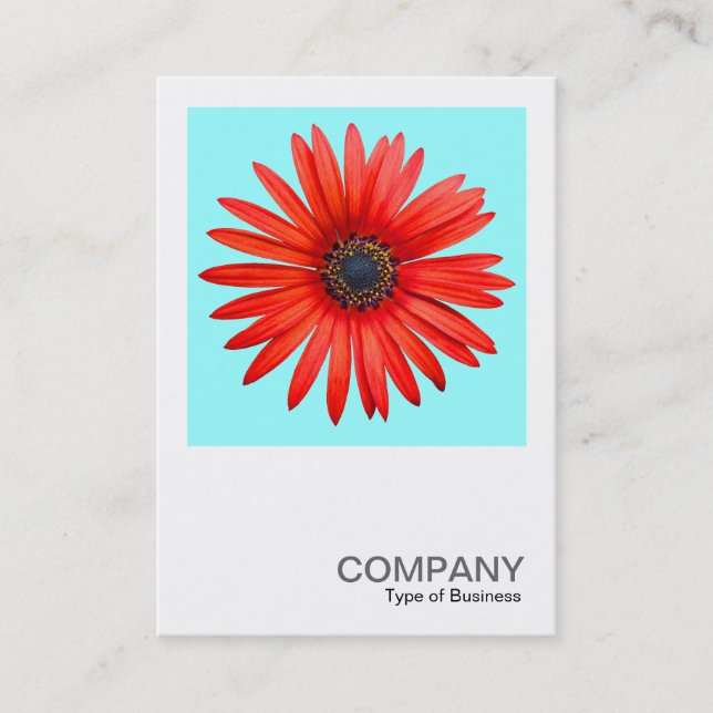 Tarjeta De Visita Foto cuadrada 0344 - Diablo rojo en hielo azul (Anverso)