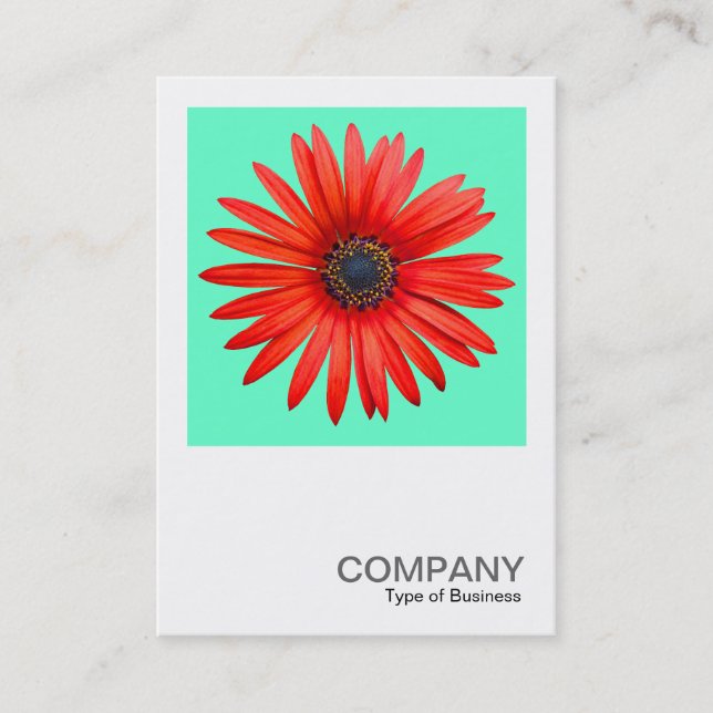 Tarjeta De Visita Foto cuadrada 0344 - Diablo rojo en turquesa (Anverso)