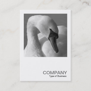 Tarjeta De Visita Foto Cuadrada 0350 - Cisne B&N