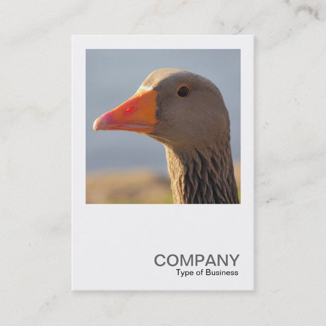 Tarjeta De Visita Foto cuadrada 0393 - Ganso curioso (Anverso)