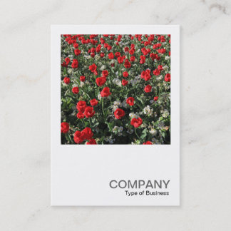 Tarjeta De Visita Foto cuadrada 0399 - Tulipanes rojos y rosas