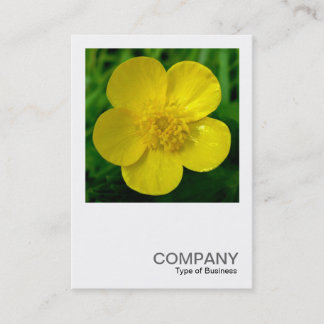 Tarjeta De Visita Foto cuadrada 03 - Buttercup