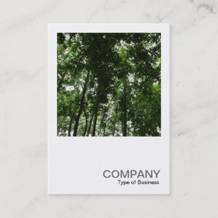 Tarjeta De Visita Foto cuadrada 0411 - Tapa de bosque 01