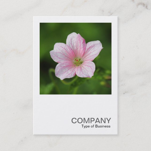 Tarjeta De Visita Foto cuadrada 0419 - Geranium (Anverso)