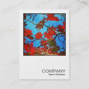 Tarjeta De Visita Foto cuadrada 0435 - Hojas rojas