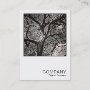 Tarjeta De Visita Foto cuadrada 0458 - Árbol de Magnolia