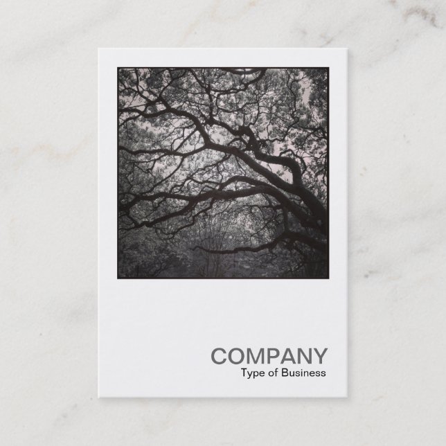 Tarjeta De Visita Foto cuadrada 0462 - Árbol de Magnolia en Blossom  (Anverso)