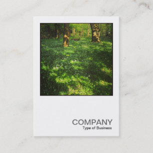 Tarjeta De Visita Foto cuadrada 0469 - Primavera en los bosques
