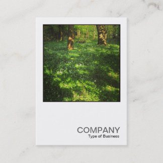 Tarjeta De Visita Foto cuadrada 0469 - Primavera en los bosques