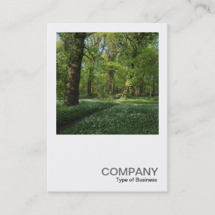 Tarjeta De Visita Foto cuadrada 0472 - Primavera en los bosques