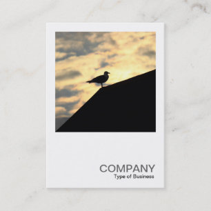 Tarjeta De Visita Foto cuadrada 0514 - Atardecer de la gaviota de ar