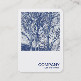 Tarjeta De Visita Foto cuadrada 0591 - Árboles en invierno - Cyanoty