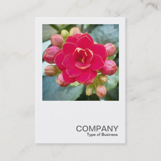 Tarjeta De Visita Foto cuadrada 0595 - Kalanchoe (Anverso)