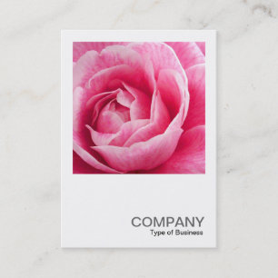 Tarjeta De Visita Foto cuadrada 082 - Camelia rosa