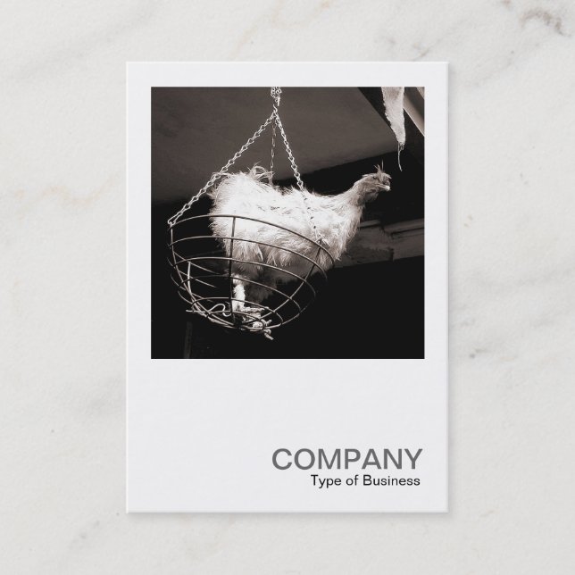 Tarjeta De Visita Foto cuadrada 086 - pollo en la cesta (Anverso)