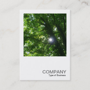 Tarjeta De Visita Foto cuadrada 093 - Sol en los árboles