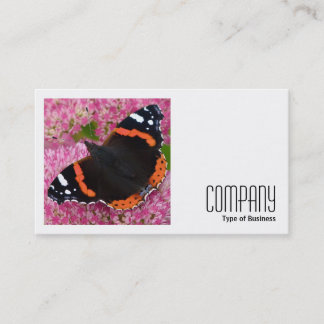 Tarjeta De Visita Foto cuadrada (v2) - Almirante Rojo en Sedum