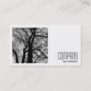 Tarjeta De Visita Foto cuadrada (v2) - Árbol de alto contraste