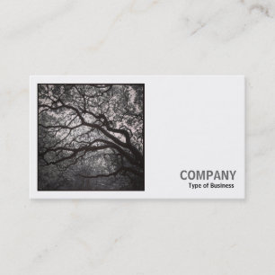 Tarjeta De Visita Foto cuadrada (v2) - Árbol de Magnolia en Blossom 