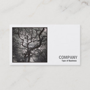 Tarjeta De Visita Foto cuadrada (v2) - Árbol de Magnolia en Blossom 