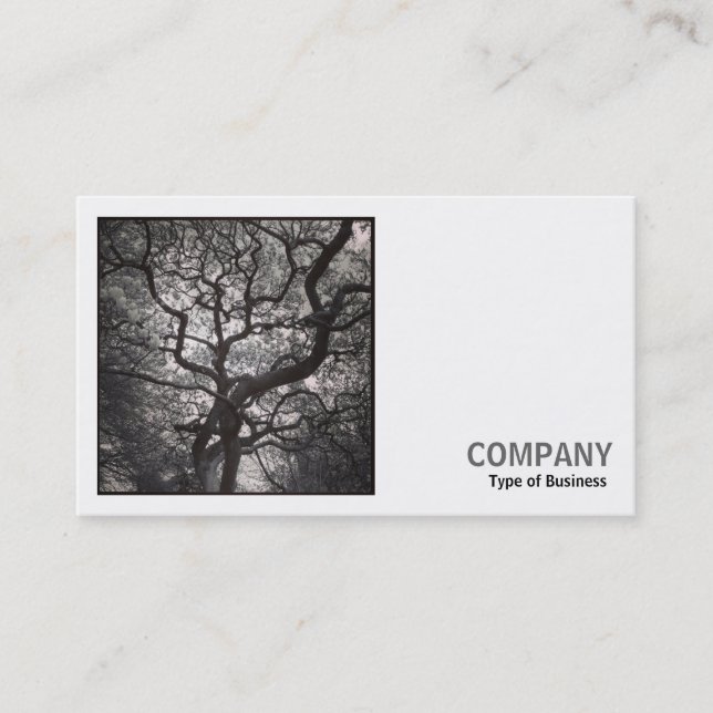 Tarjeta De Visita Foto cuadrada (v2) - Árbol de Magnolia en Blossom  (Anverso)