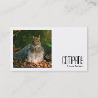 Tarjeta De Visita Foto cuadrada (v2) - ardilla gris