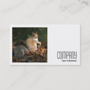 Tarjeta De Visita Foto cuadrada (v2) - ardilla gris