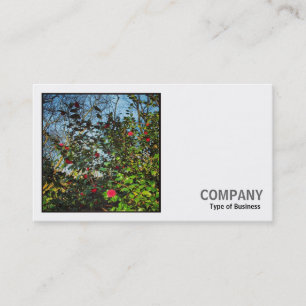 Tarjeta De Visita Foto cuadrada (v2) - Camellia Bush